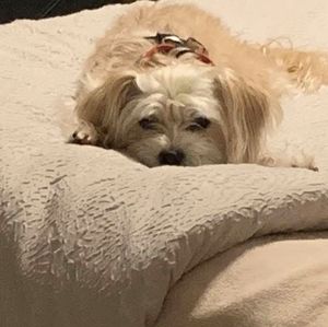 Meet your Posher, Rosemarie